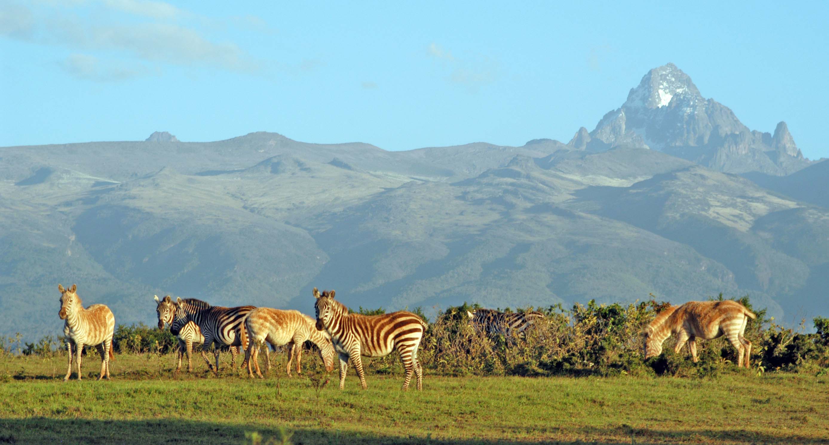 Masai Mara Safaris Provider | Masai Mara affordable safari - Visit Us Now!