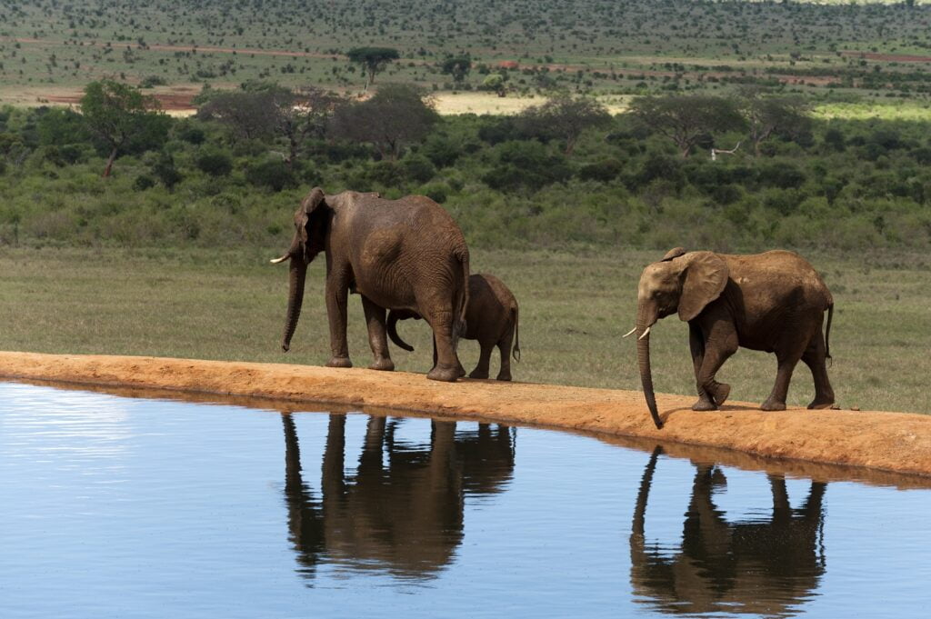 Luxury-safaris-africana-tsavo-east-